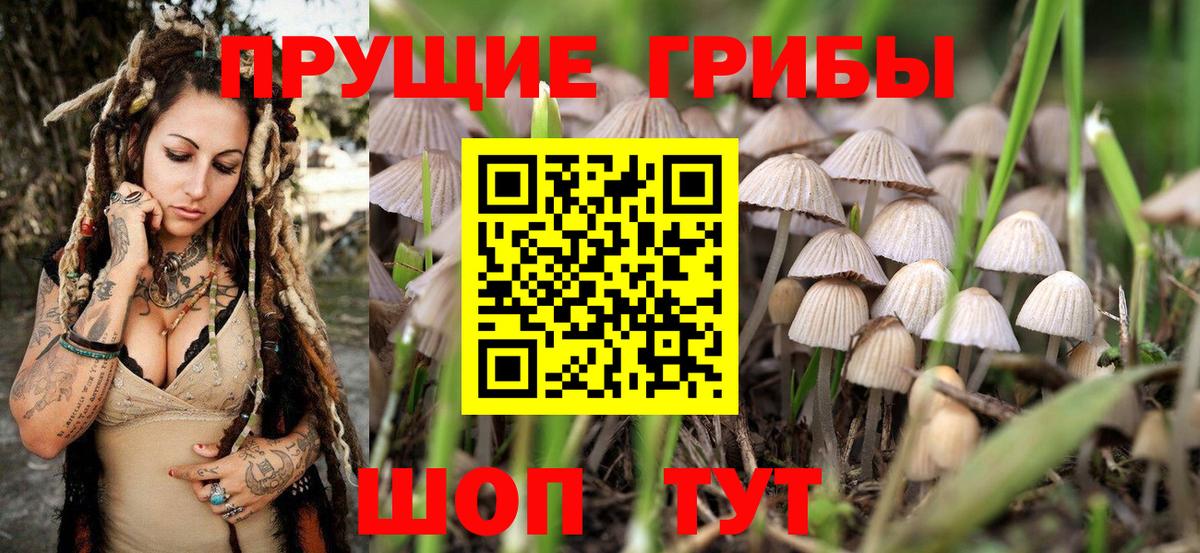 Псилоцибиновые грибы мухоморы Волхов