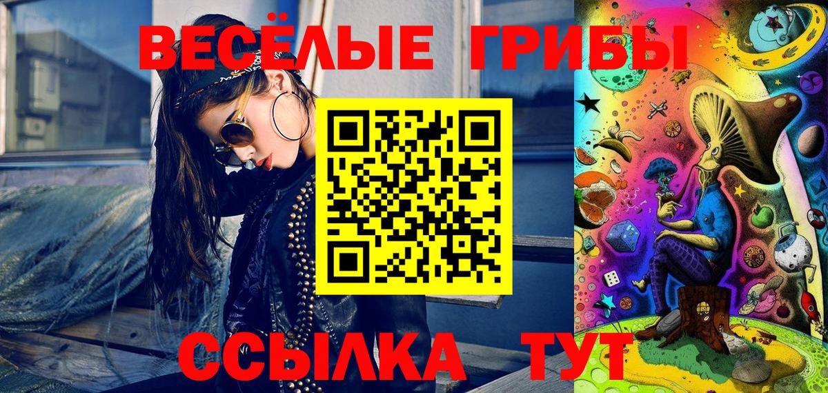 цена наркотик  Вход с VPN  Волхов  Галлюциногенные грибы мицелий 